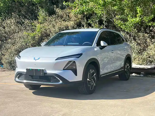 WULING WULING XINGGUANG S