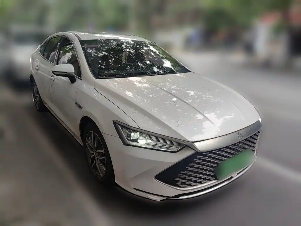 BYD Qin PLUS 2021 DM-i 55KM Flagship фото 3