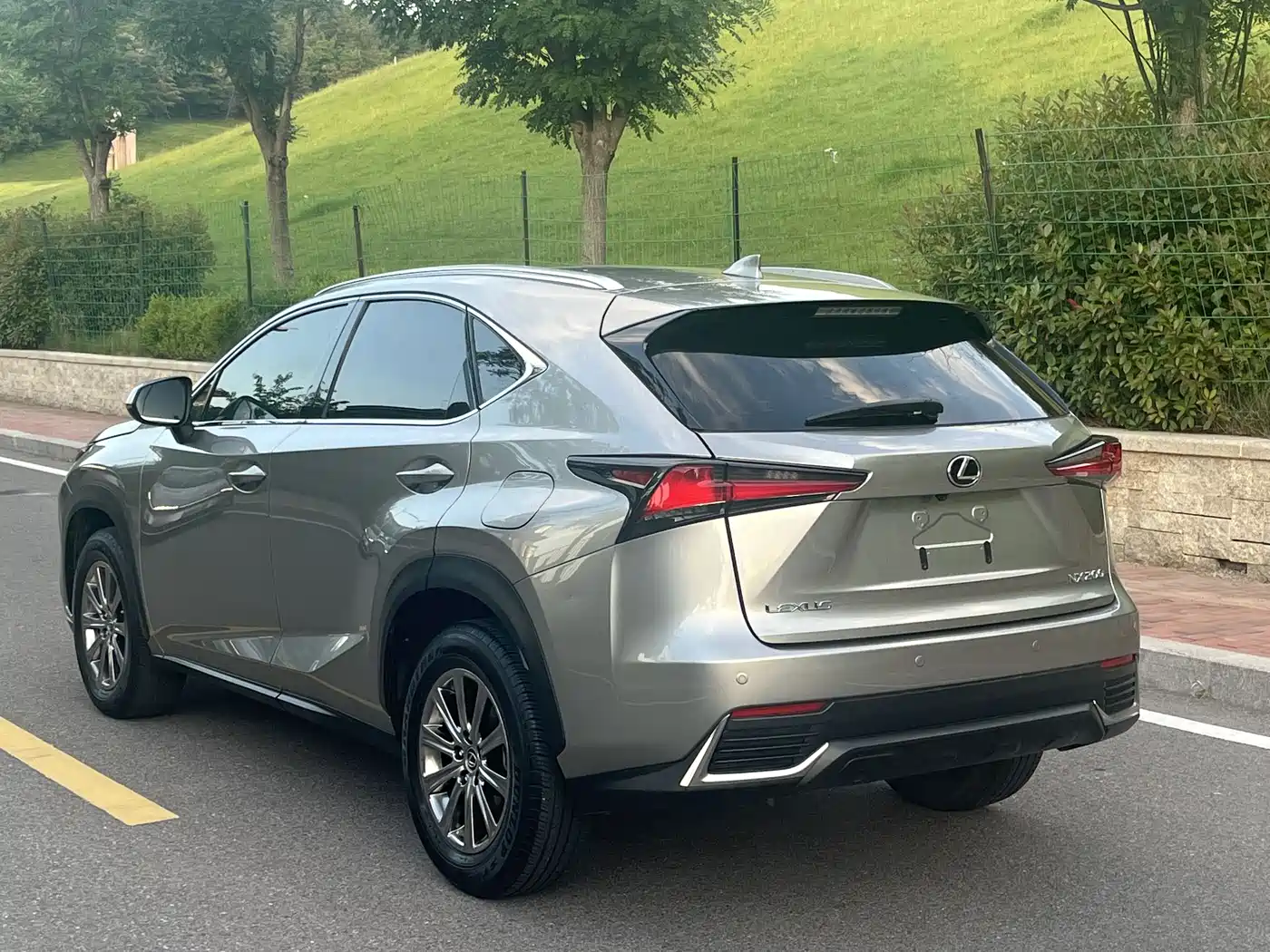 Lexus NX 2020 200 AWD F Sport China VI фото 9