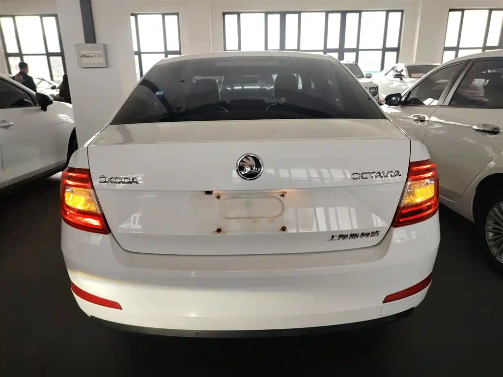 Škoda Octavia 2017 1.6L Automatic Pioneer Edition фото 6