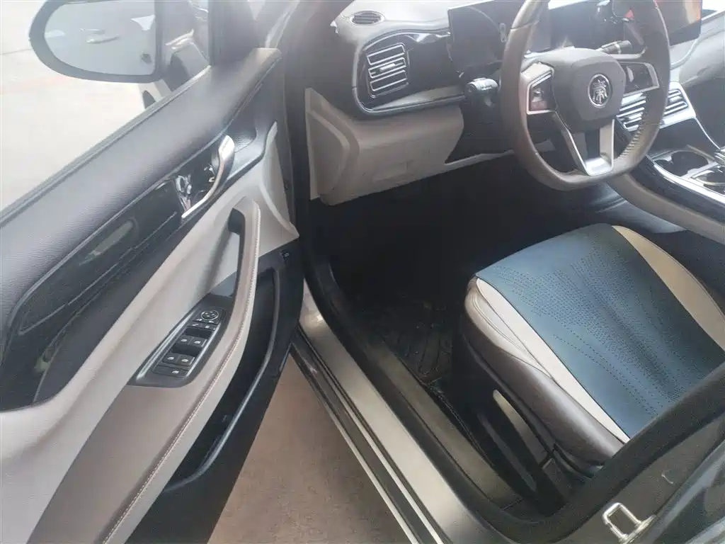 BYD Qin PLUS 2023 Champion Edition DM-i 55KM Leading фото 16