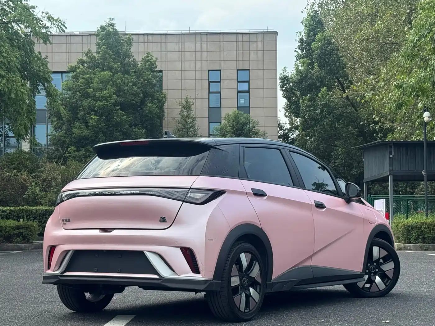 BYD Dolphin 2022 2021 401km Knight Edition