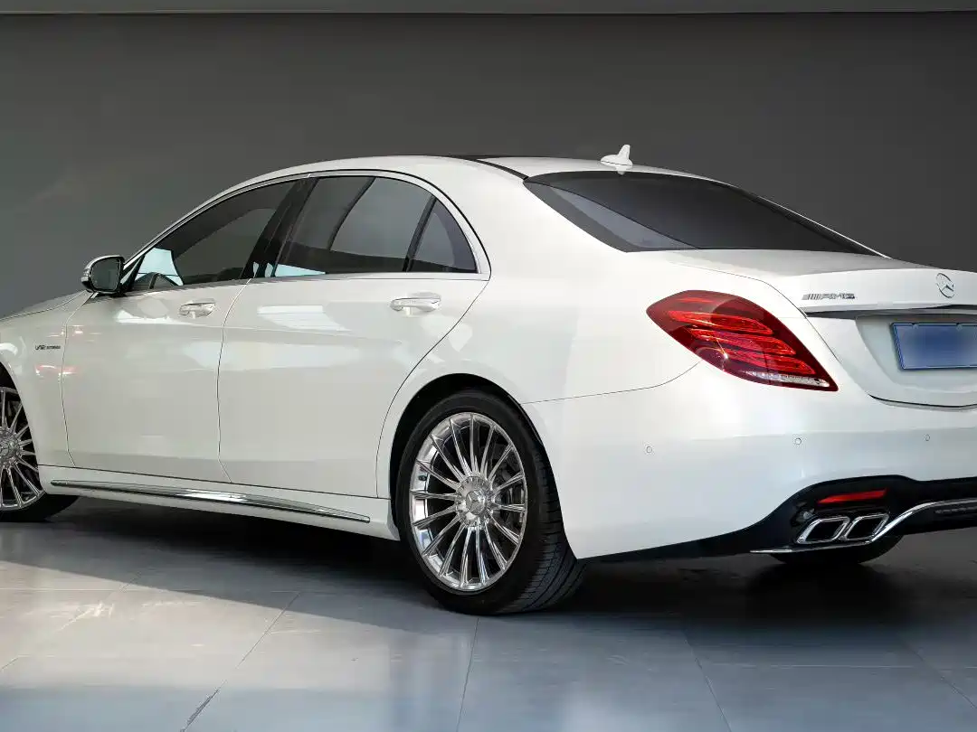 Mercedes-Benz S-Class AMG 2014 AMG S 65 L фото 9