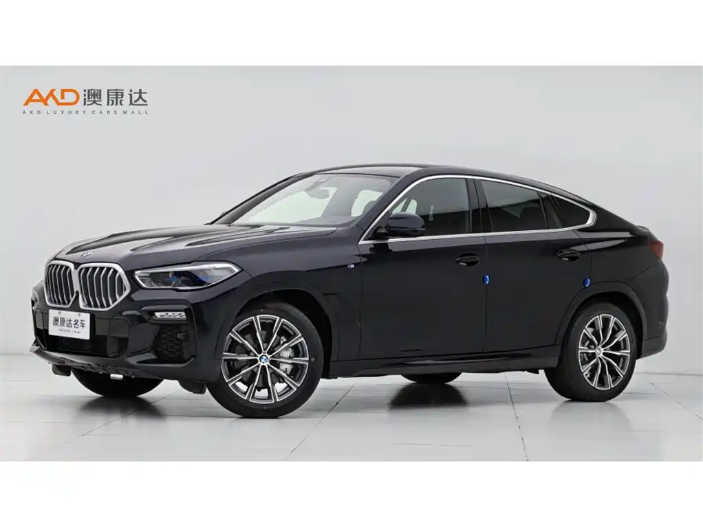 BMW X6 2021 xDrive40i M Sport Package