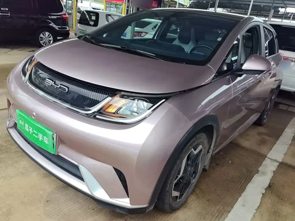 BYD Dolphin 2021