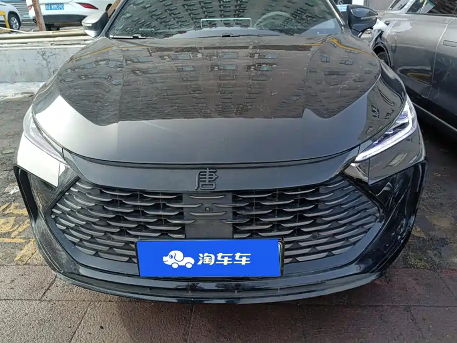 BYD Tang New Energy 2025 DM-i 115KM Flagship фото 2