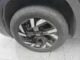 Фото 23 - Volkswagen Teramont