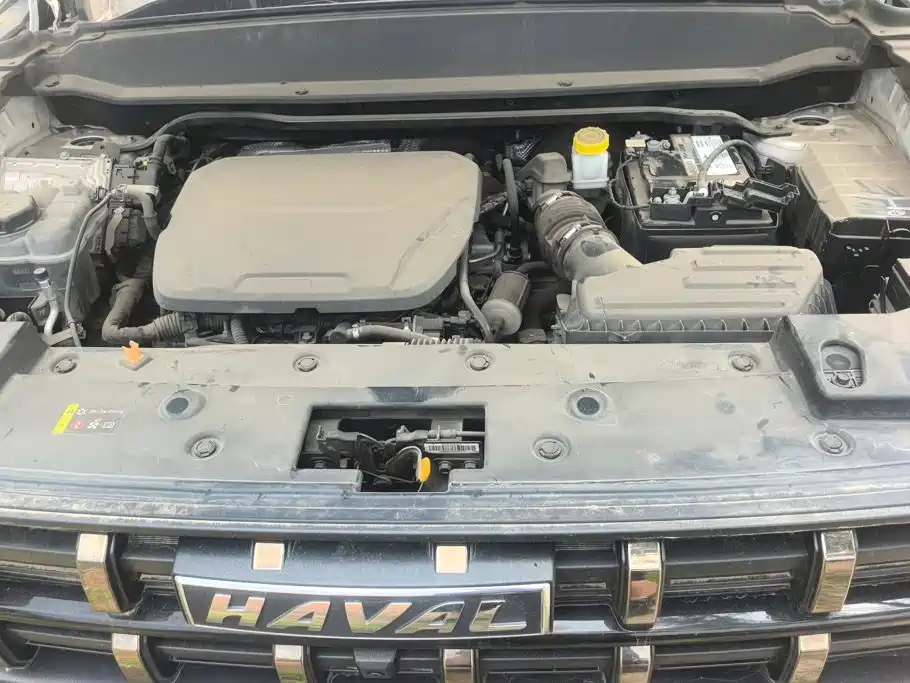 Haval Cool Dog 2023 2022 1.5T DCT 2WD Trend Edition