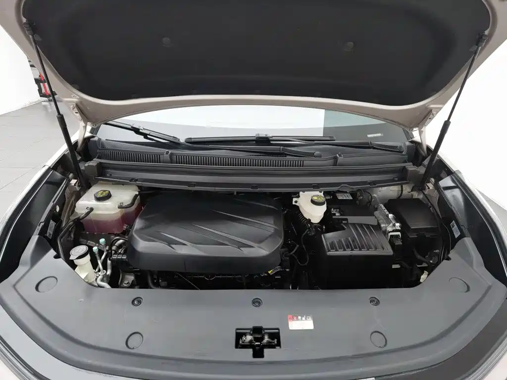SAIC Maxus Maxus G70 2024 2024 Model 2.0T Automatic Flagship 7-Seater