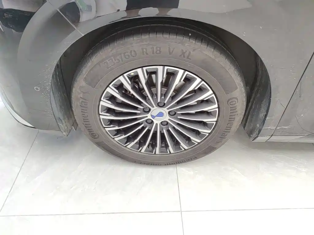 Denza D9 2023 2022 DM-i 970 AWD Flagship