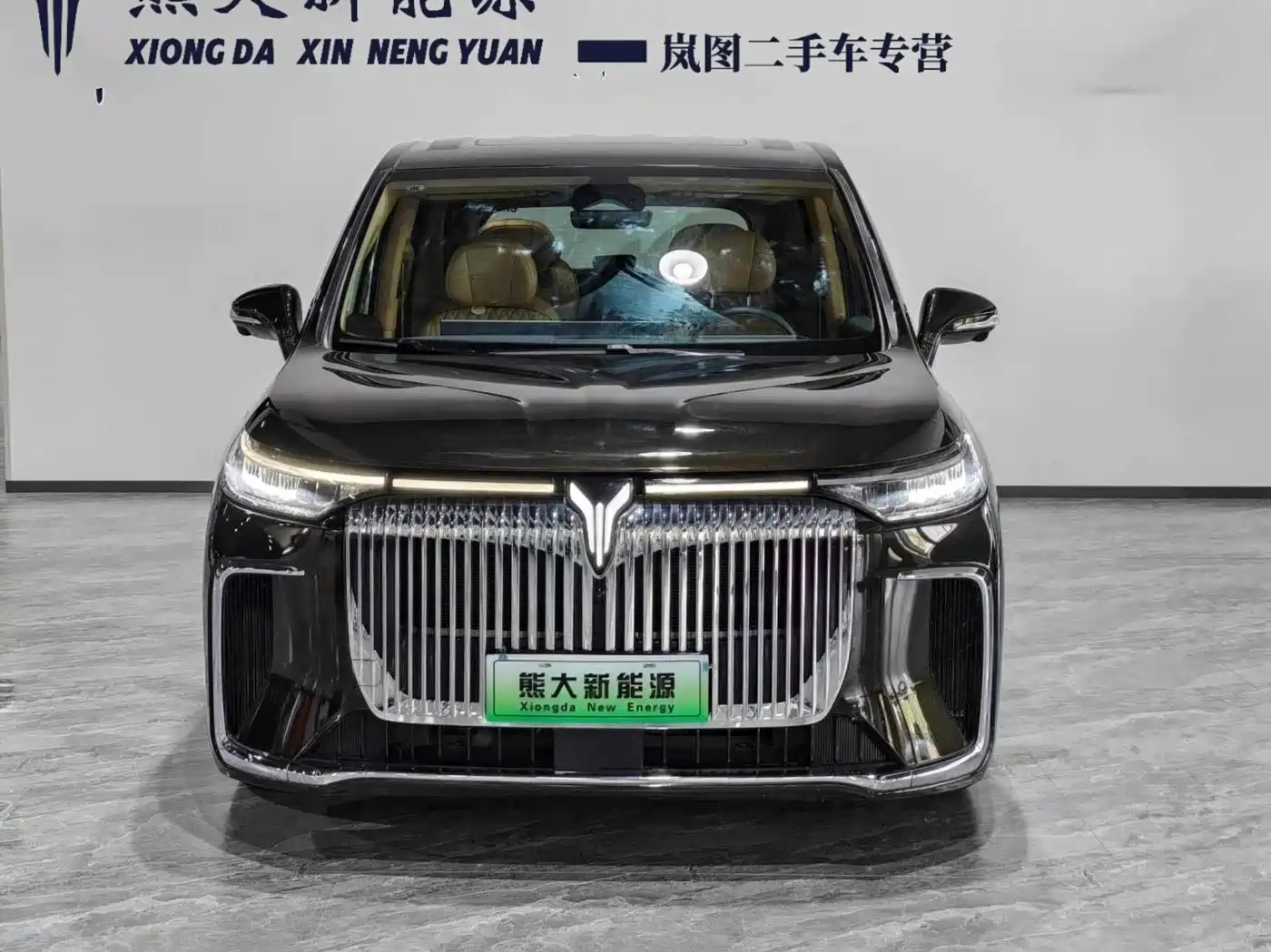 Voyah Auto Voyah Dreamer 2025 PHEV AWD Flagship Kunpeng Edition фото 2