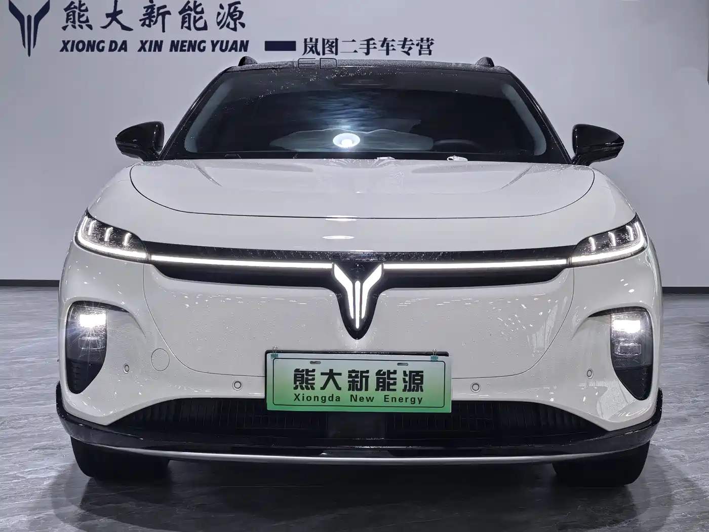 Voyah Auto Voyah Zhiyin 2024 Long Range Smart Edition фото 2