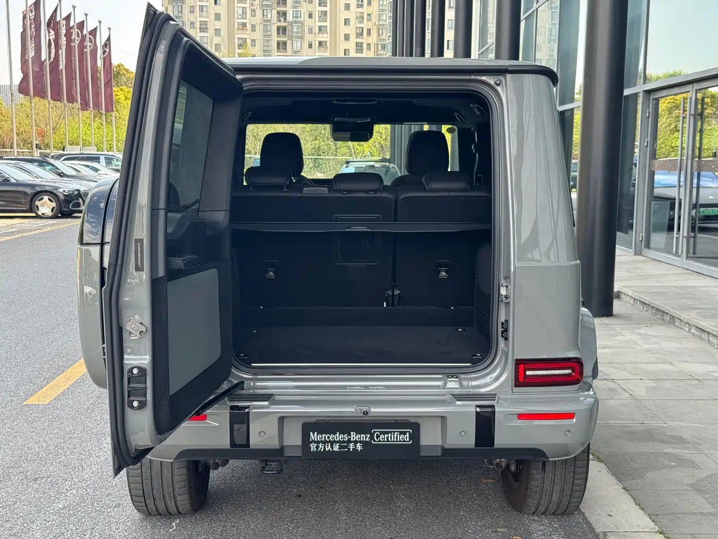 MERCEDES-BENZ G CLASS NEW ENERGY