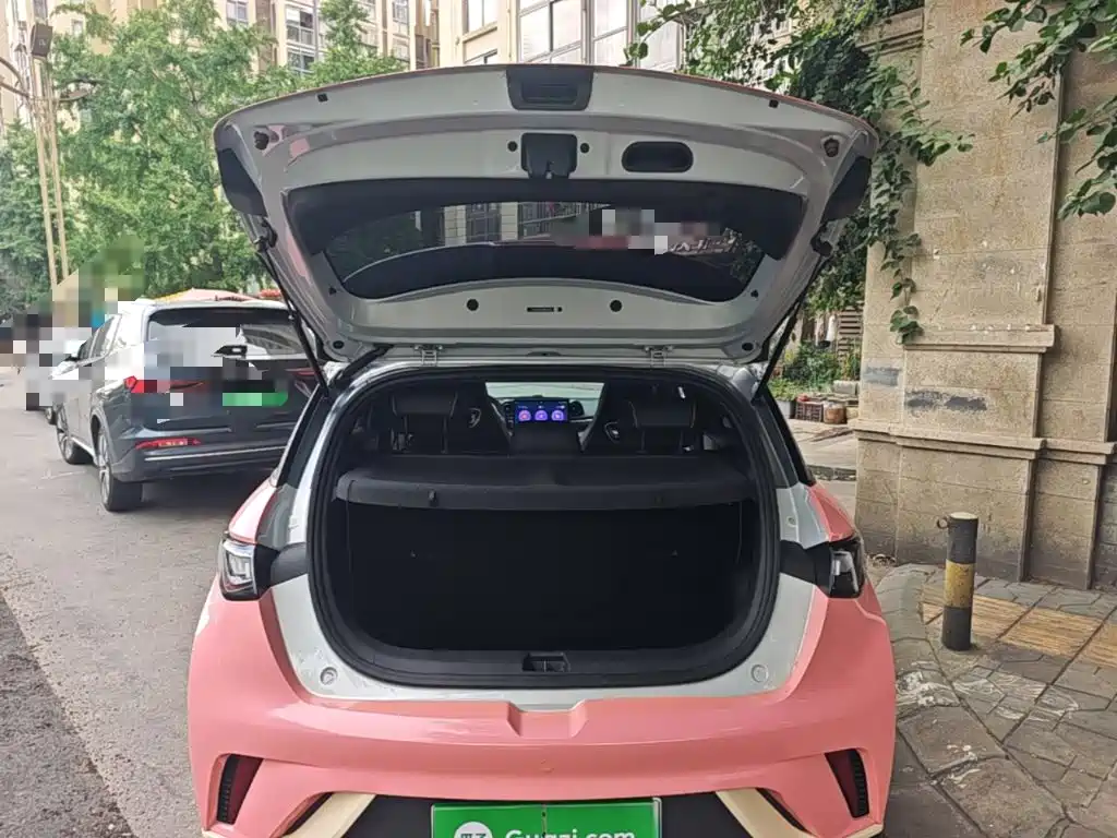 BYD Dolphin 2021 2021 405km Freedom Edition