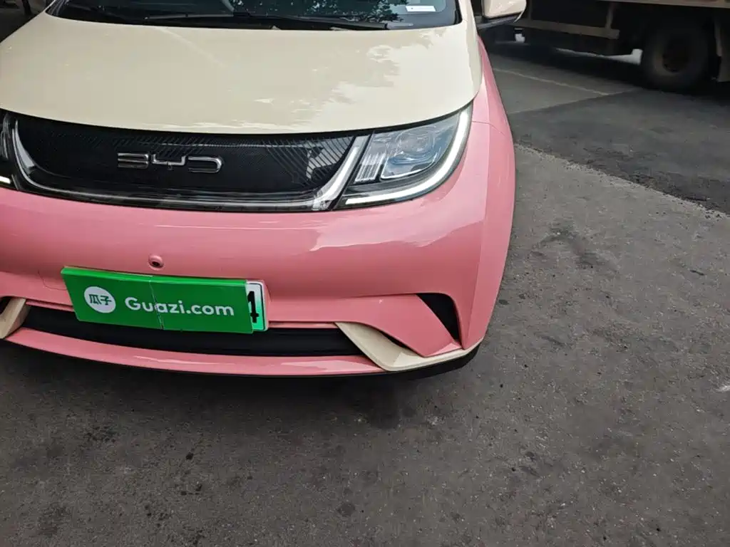 BYD Dolphin 2021 2021 405km Freedom Edition