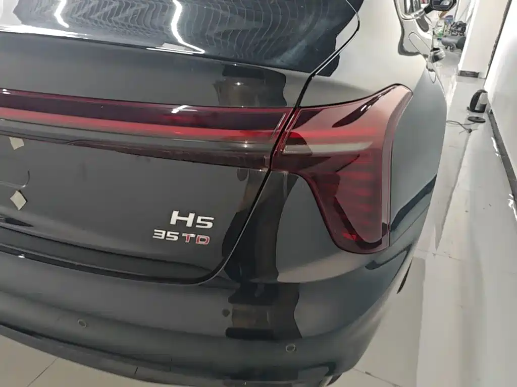 صورة 8 - Hongqi H5