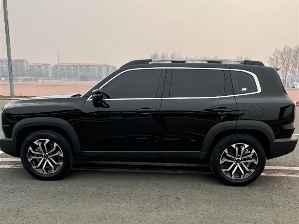 Haval Big Dog 2024 1.5T DCT Border Collie Edition фото 13