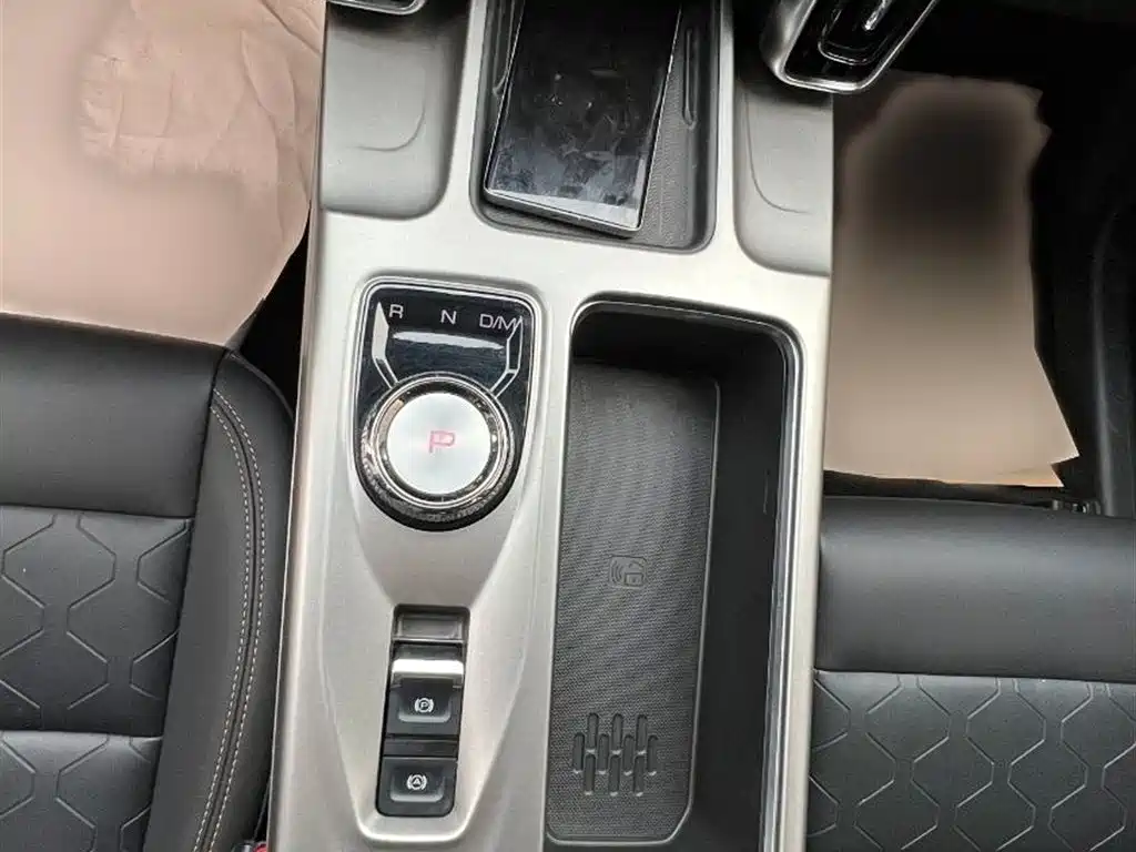 Haval Big Dog 2024 1.5T DCT Border Collie Edition фото 15