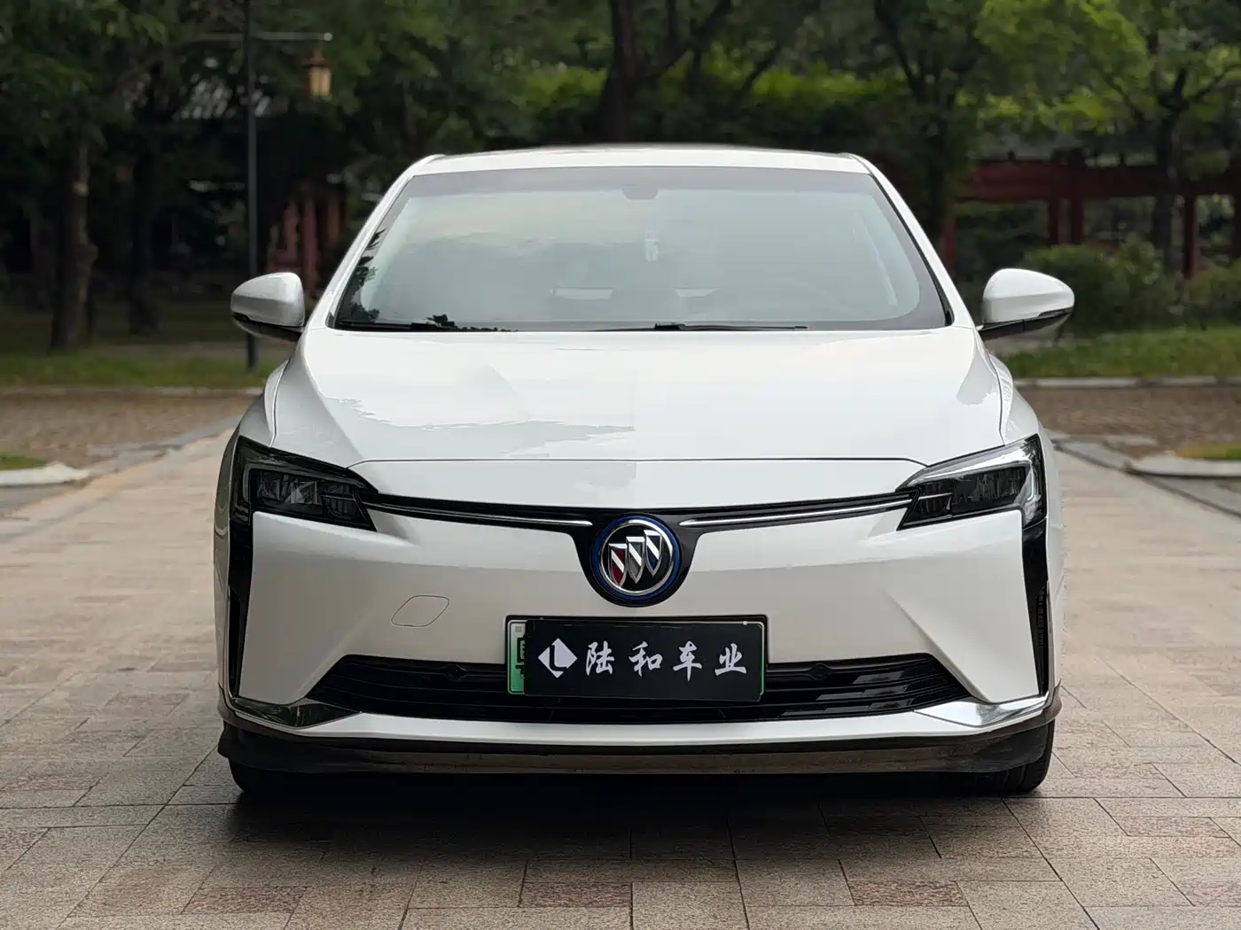 Buick Velite 6 2023 430km Travel Edition фото 2
