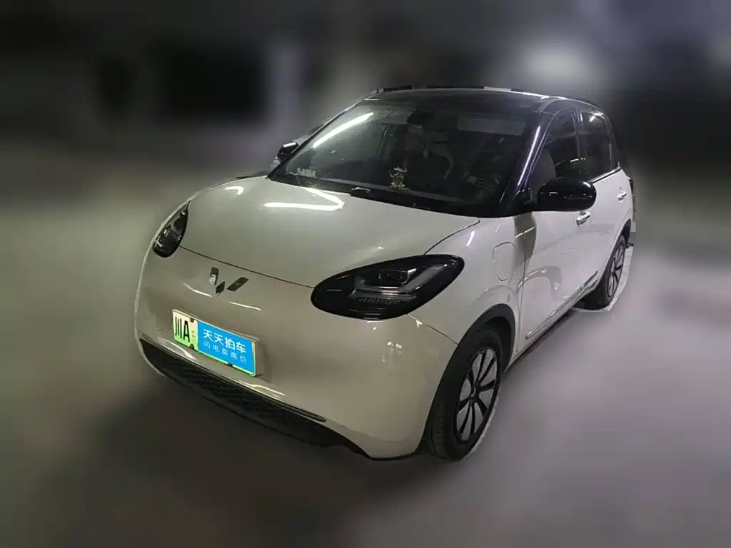 Wuling Motors Wuling Bingo 2023 333km Joyful Version