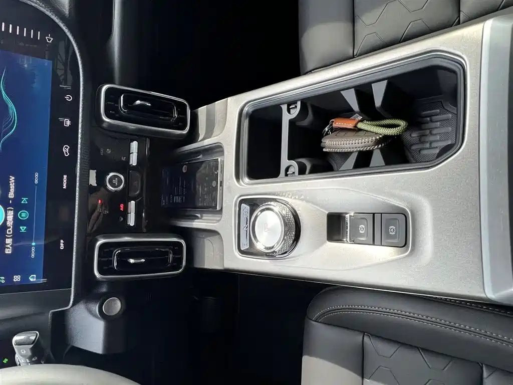 Haval Big Dog 2024 1.5T DCT Border Collie Edition фото 12