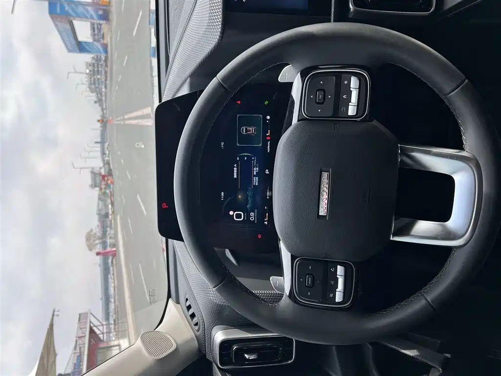 Haval Big Dog 2024 1.5T DCT Border Collie Edition фото 11