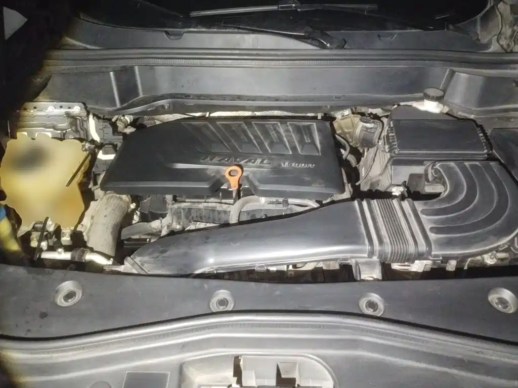 Haval F7 2019 2019 1.5T 2WD i-Trend China VI