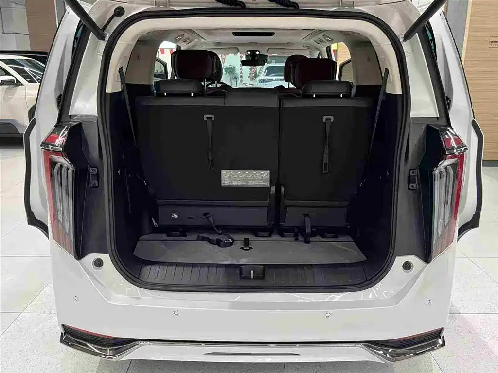 GAC Trumpchi Trumpchi E9 2023 E9 PRO фото 9