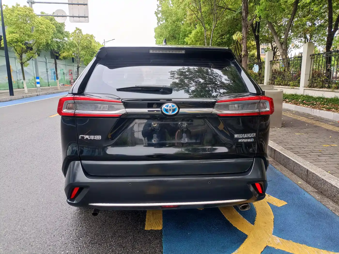 Toyota Wildlander 2020 Dual Engine 2.5L E-CVT FWD Luxury фото 5