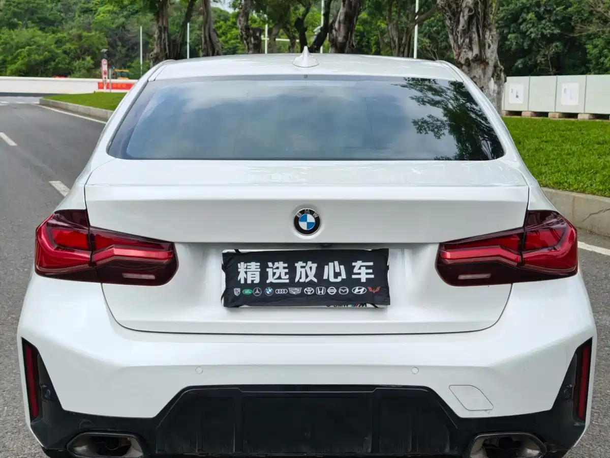 BMW 3 Series 2017 320Li Fashion фото 5