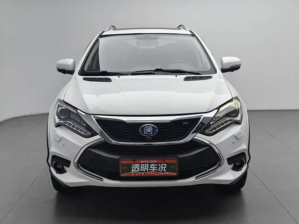 Фото 3 - BYD Tang New Energy