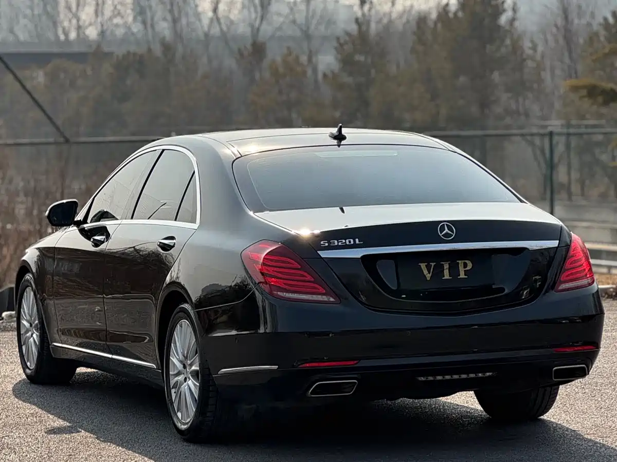 Mercedes-Benz S-Class 2016 S 320 L Luxury фото 3