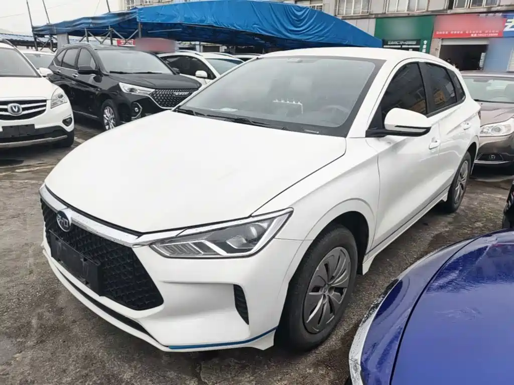 BYD e2 2021 Standard