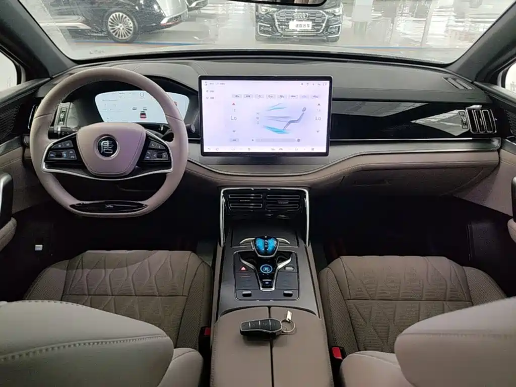 BYD Tang New Energy 2025 2025 DM-i 115KM Premium
