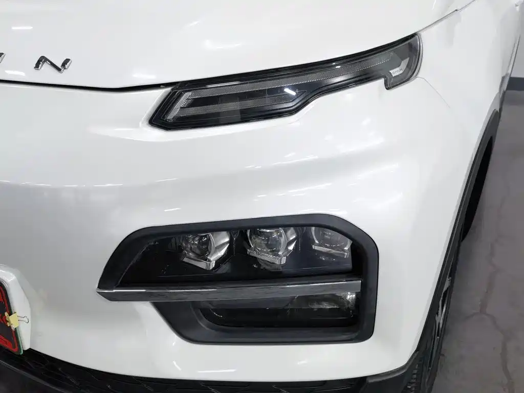 Dayun Yuehu 2022 2021 32.85kWh 2WD Elf Edition