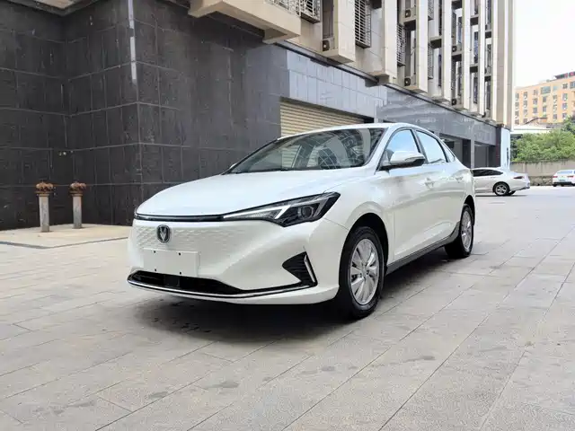  Changan Eado New Energy 2022 EV460 Smart Ride-Hailing Edition (LFP)