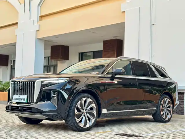 Hongqi E-HS9 2021 510km Flagship Edition 4-seater — фото 1