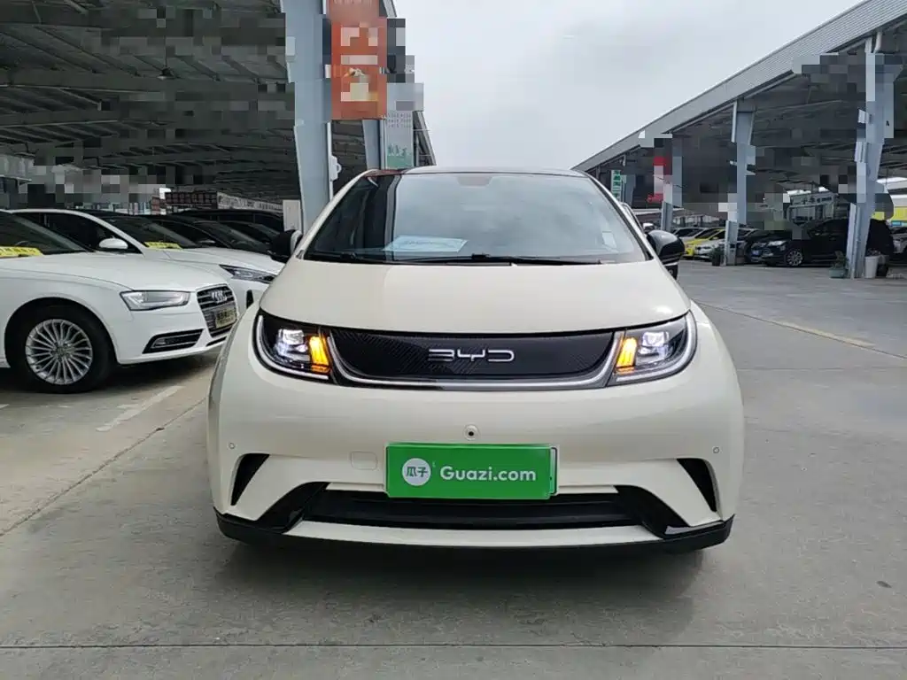 Фото 3 - BYD Dolphin