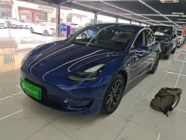TESLA MODEL 3 2020