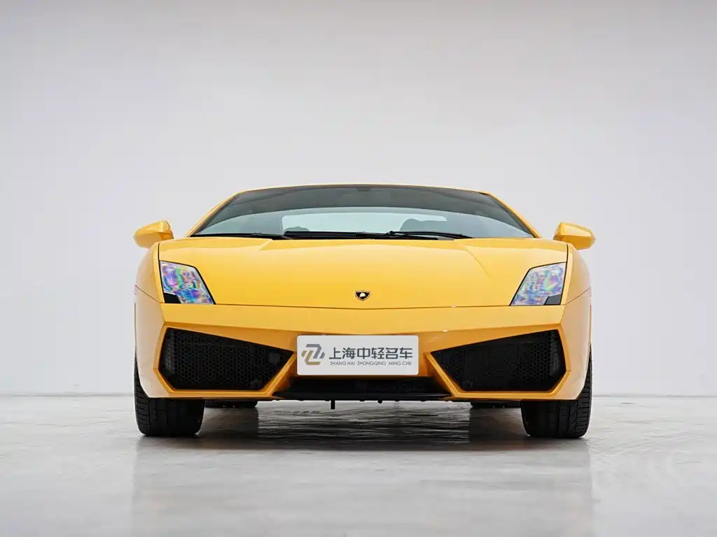 Lamborghini Gallardo 2010 2011 Lamborghini Gallardo LP 560-4 Bicolore