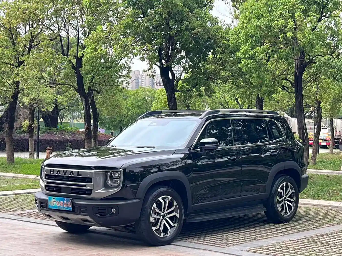 Haval Big Dog 2024 1.5T DCT Border Collie Edition