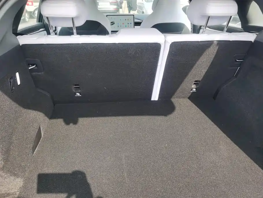 ARCFOX EXTREME FOX POLAR FOX ALPHA T5