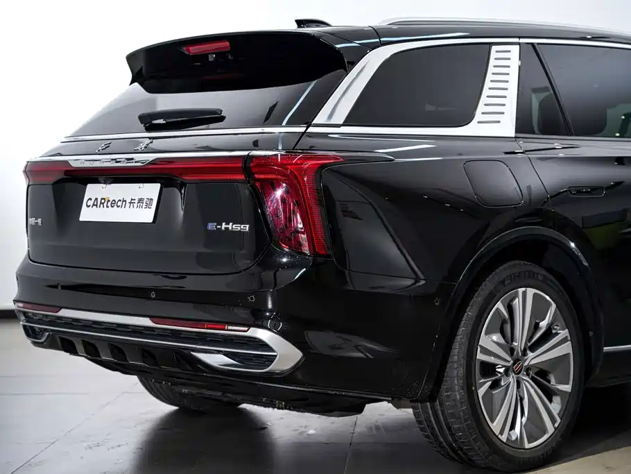 Photo 7 - Hongqi E-HS9