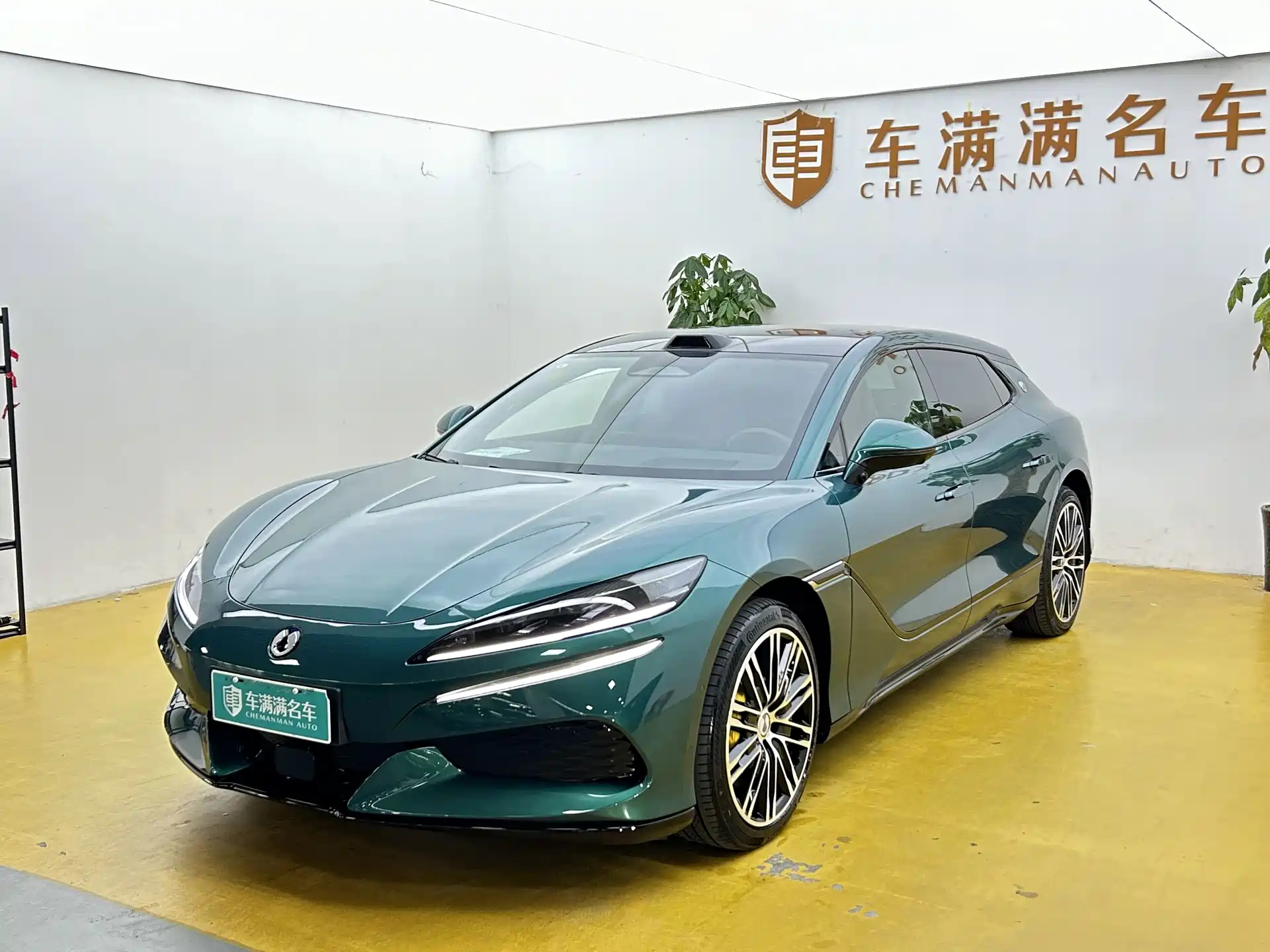 Фото 1 - Denza Z9GT