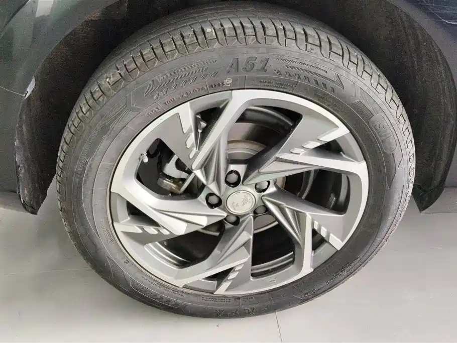 Hongqi HS3 PHEV 2024 PHEV 115km Power Edition фото 6