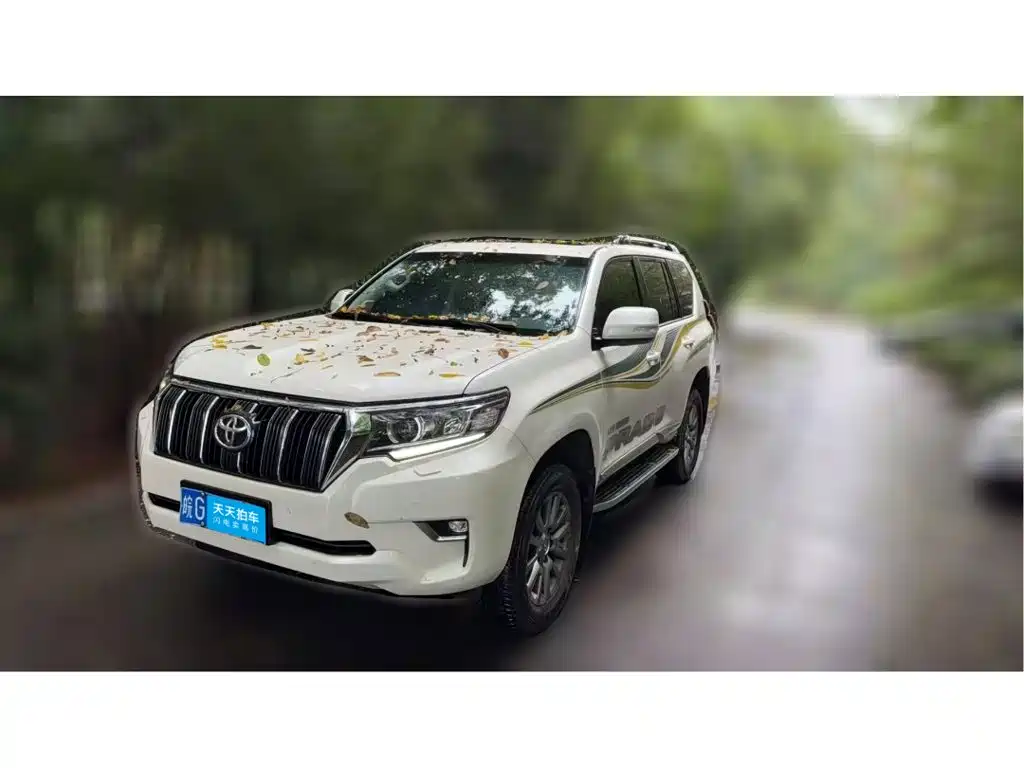 Фото 1 - Toyota Prado