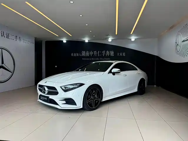 Mercedes-Benz CLS 2021 CLS 300 Luxury — фото 1