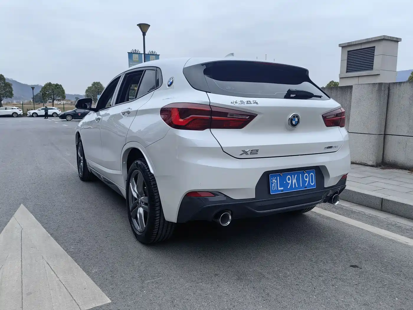 BMW X2