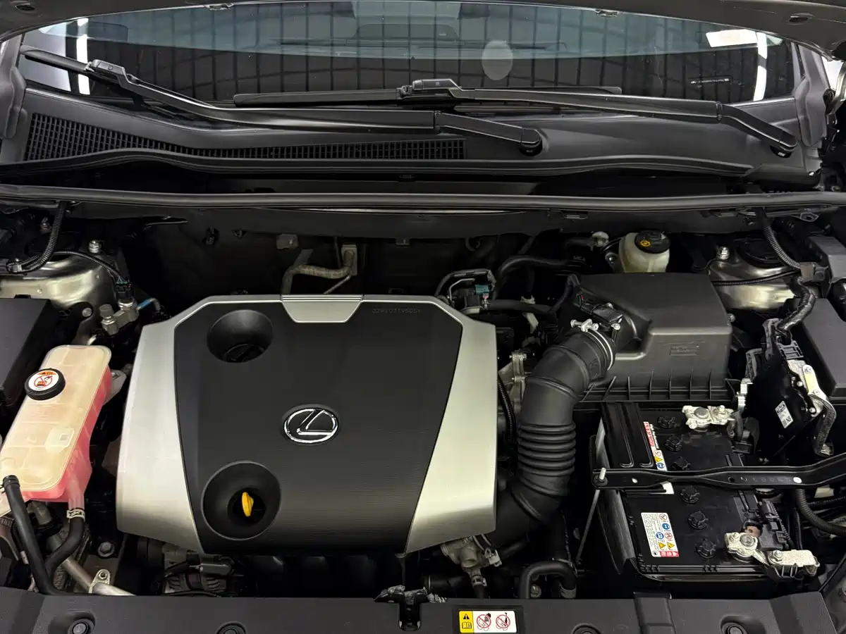 Lexus NX 2020 200 AWD F Sport China VI фото 23