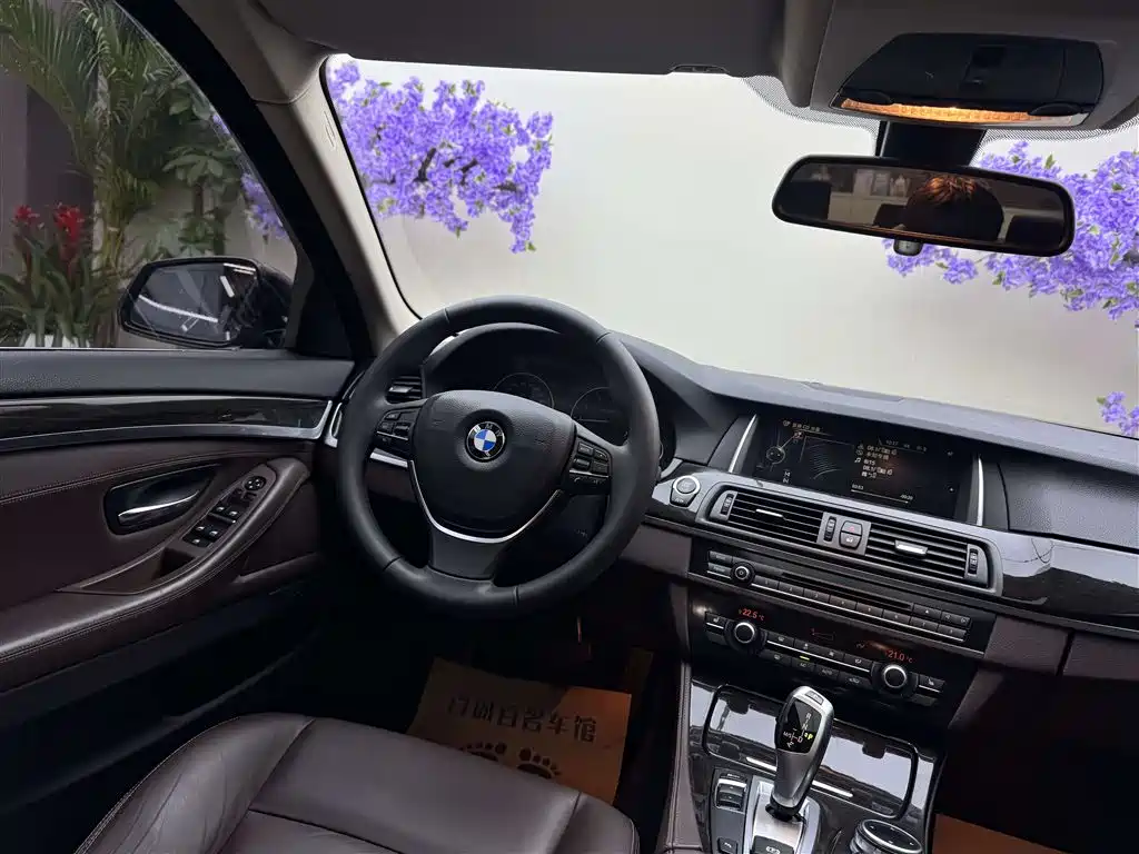 BMW 5 Series 2014 525Li Luxury Design Package фото 14